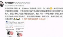 肥王先生最新爆料新闻,最新爆料新闻背后的惊人真相