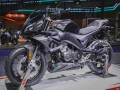 gpr250最新爆料,揭示肿瘤免疫治疗新靶点