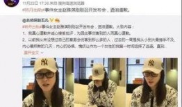 肥王先生最新爆料新闻,最新爆料新闻背后的惊人真相