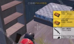 和平精英新载具爆料最新2024,创新设计引领战场新潮流